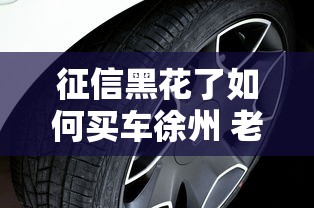 征信黑花了如何买车徐州 老司机教你三招搞定贷款提车
