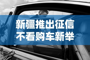 新疆推出征信不看购车新举措 黑户也能轻松贷款买车