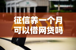 征信养一个月可以借网贷吗 实测5家秒过平台亲测有效