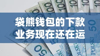 袋熊钱包的下款业务现在还在运行吗？2025最新实测报告