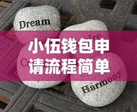 小伍钱包申请流程简单吗？3分钟下款亲测攻略分享