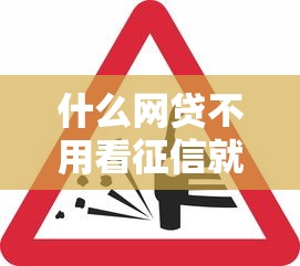 什么网贷不用看征信就能过 这5个口子放水快审核松
