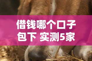 借钱哪个口子包下 实测5家秒过平台亲测稳如老狗