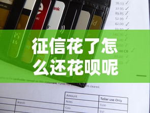 征信花了怎么还花呗呢？3个真实有效的补救方法分享