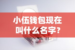 小伍钱包现在叫什么名字？2025最新名称及使用评测