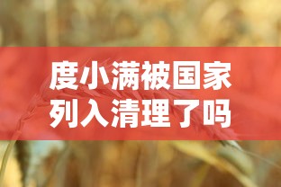 度小满被国家列入清理了吗？2025最新真相大揭秘