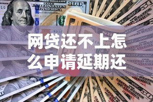 网贷还不上怎么申请延期还款？2025最新延期攻略亲测有效