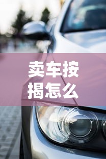卖车按揭怎么查征信黑花了？3分钟教你避开贷款大坑