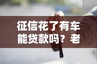 征信花了有车能贷款吗？老司机实测3个秒下款的口子