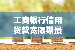 工商银行信用贷款宽限期最新政策解读，逾期也能轻松续命