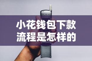 小花钱包下款流程是怎样的？老哥实测3分钟到账攻略