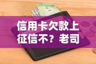 信用卡欠款上征信不？老司机实测5家平台避坑指南