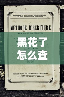 黑花了怎么查征信报告？2025最新征信查询攻略分享