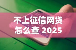 不上征信网贷怎么查 2025最新3秒出额度隐藏口子大揭秘