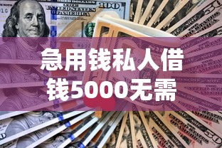 急用钱私人借钱5000无需审核？亲测这三个平台秒到账不查征信！