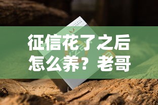 征信花了之后怎么养？老哥亲测5招翻身秘籍