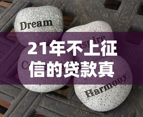 21年不上征信的贷款真实经历分享 这些隐藏口子亲测有效