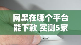 网黑在哪个平台能下款 实测5家秒过口子亲测有效