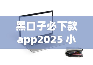 黑口子必下款app2025 小额贷款秒到账 实测5分钟放款稳如老狗