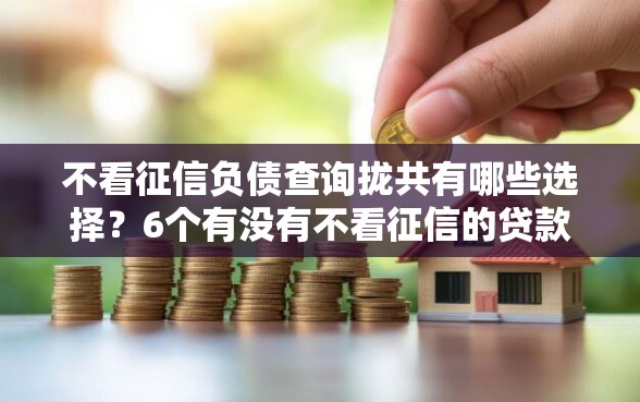 不看征信负债查询拢共有哪些选择？6个有没有不看征信的贷款平台详解