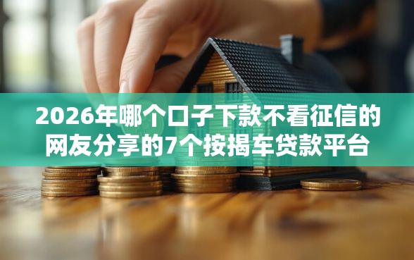 2026年哪个口子下款不看征信的网友分享的7个按揭车贷款平台我觉得不错！