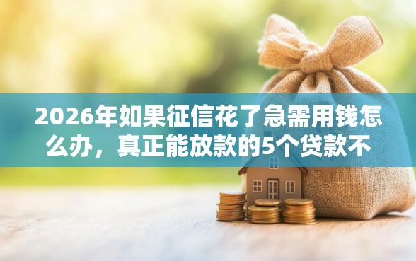 2026年如果征信花了急需用钱怎么办，真正能放款的5个贷款不上诚信平台的软件推荐
