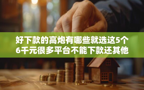 好下款的高炮有哪些就选这5个6千元很多平台不能下款还其他平台