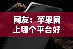 网友：苹果网上哪个平台好借钱？求介绍几款逾期也能贷款的平台