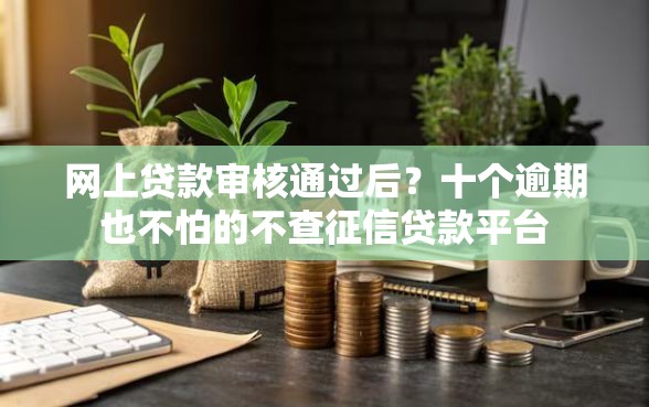 网上贷款审核通过后？十个逾期也不怕的不查征信贷款平台