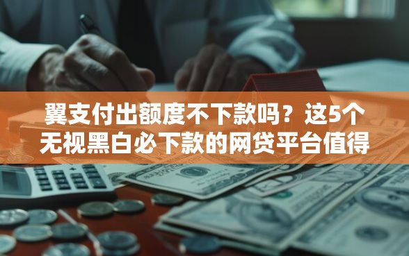 翼支付出额度不下款吗？这5个无视黑白必下款的网贷平台值得一试