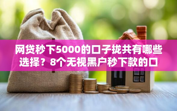 网贷秒下5000的口子拢共有哪些选择？8个无视黑户秒下款的口子详解