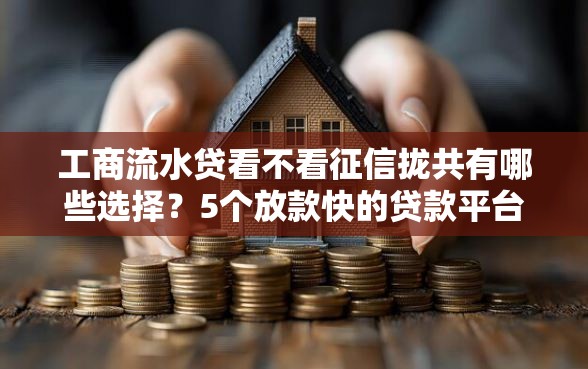 工商流水贷看不看征信拢共有哪些选择？5个放款快的贷款平台详解
