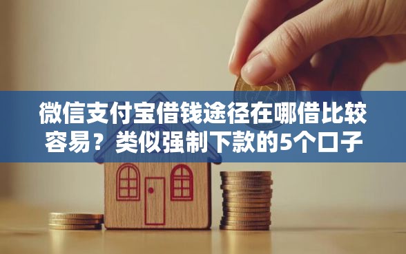 微信支付宝借钱途径在哪借比较容易？类似强制下款的5个口子参考