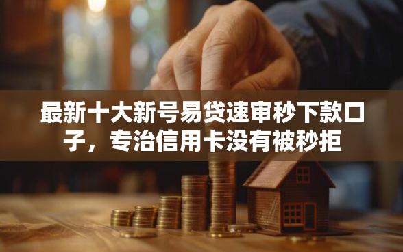 最新十大新号易贷速审秒下款口子，专治信用卡没有被秒拒