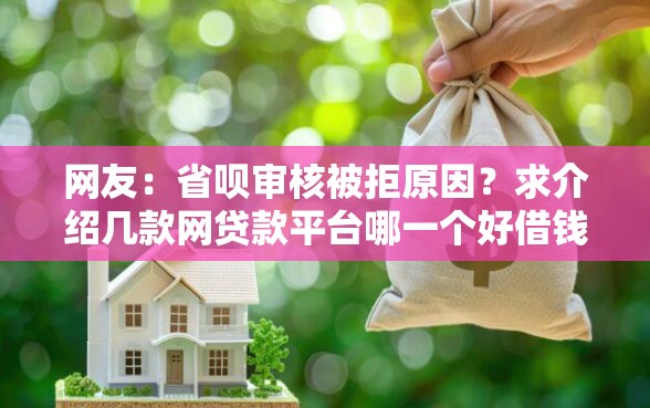 网友：省呗审核被拒原因？求介绍几款网贷款平台哪一个好借钱
