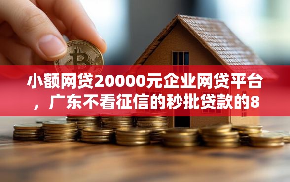小额网贷20000元企业网贷平台，广东不看征信的秒批贷款的8个平台介绍