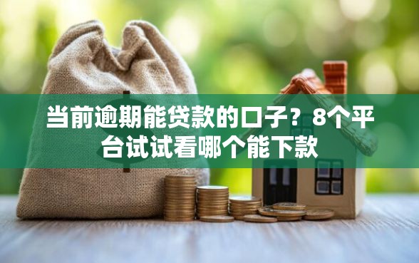 当前逾期能贷款的口子？8个平台试试看哪个能下款