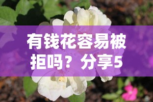 有钱花容易被拒吗？分享5个8千元无门槛私借平台