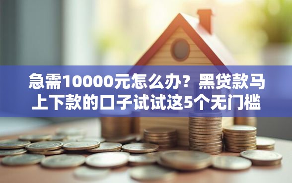 急需10000元怎么办？黑贷款马上下款的口子试试这5个无门槛平台