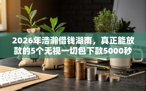 2026年浩瀚借钱湖南，真正能放款的5个无视一切包下款5000秒下款的口子推荐