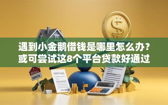 遇到小金鹅借钱是哪里怎么办？或可尝试这8个平台贷款好通过