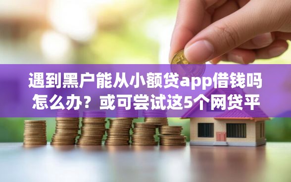 遇到黑户能从小额贷app借钱吗怎么办？或可尝试这5个网贷平台最怕部门