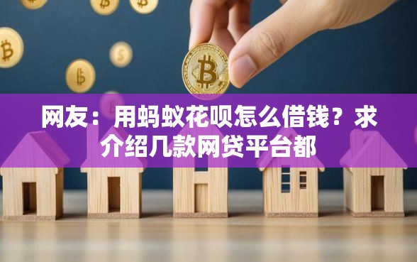 网友：用蚂蚁花呗怎么借钱？求介绍几款网贷平台都