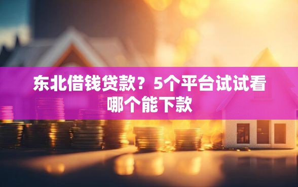 东北借钱贷款？5个平台试试看哪个能下款