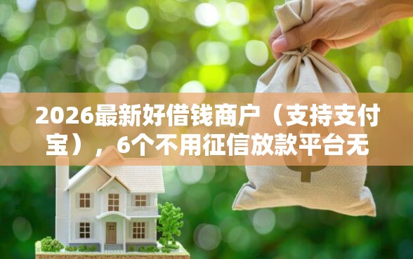 2026最新好借钱商户（支持支付宝），6个不用征信放款平台无私分享