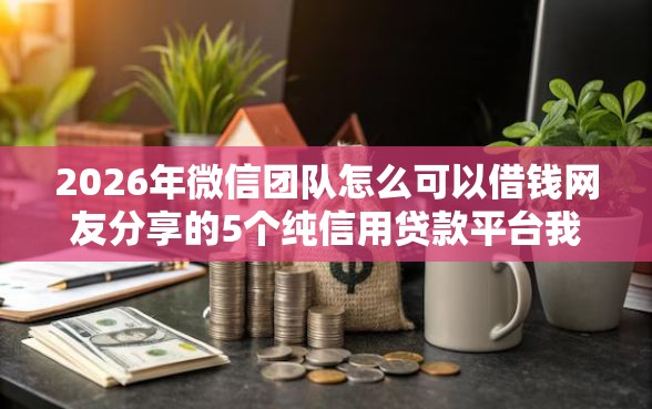 2026年微信团队怎么可以借钱网友分享的5个纯信用贷款平台我觉得不错！