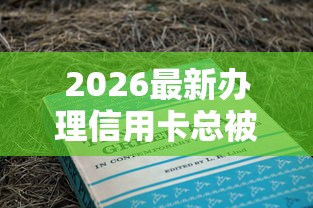 2026最新办理信用卡总被拒（支持支付宝），8个黑户平台能借到钱的无私分享