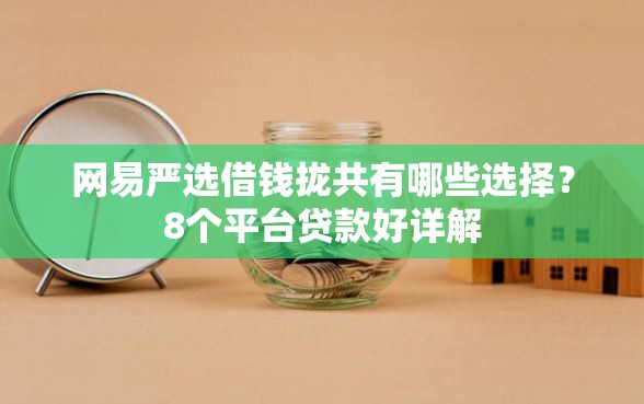 网易严选借钱拢共有哪些选择？8个平台贷款好详解
