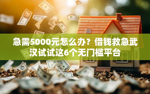 急需5000元怎么办？借钱救急武汉试试这6个无门槛平台