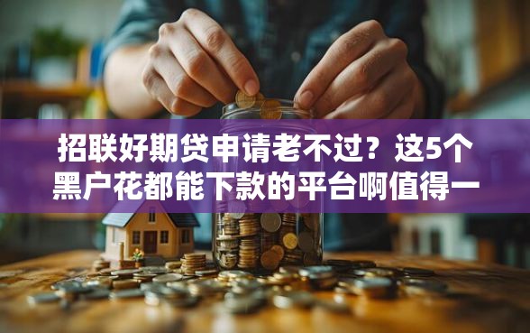 招联好期贷申请老不过？这5个黑户花都能下款的平台啊值得一试